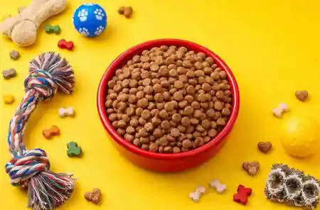 Pet and animal flavour solutions